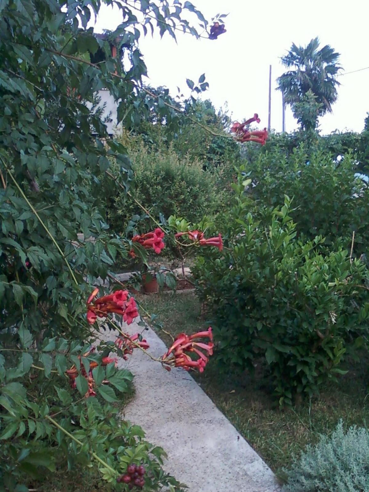 Apartments Tamara ซูโกชัน ภายนอก รูปภาพ