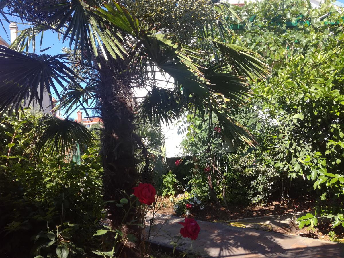 Apartments Tamara ซูโกชัน ภายนอก รูปภาพ